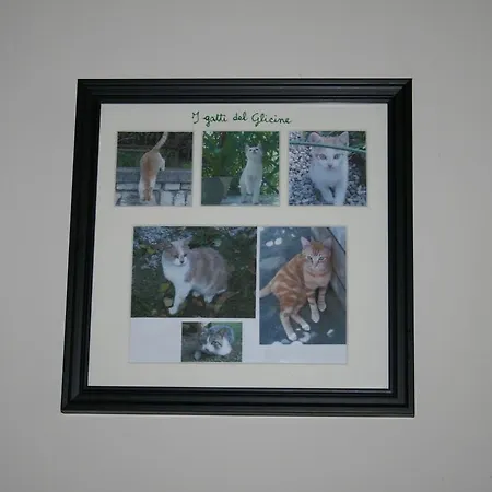 Il Glicine Bed and breakfast