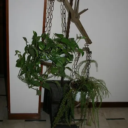 Bed and breakfast Il Glicine 3*