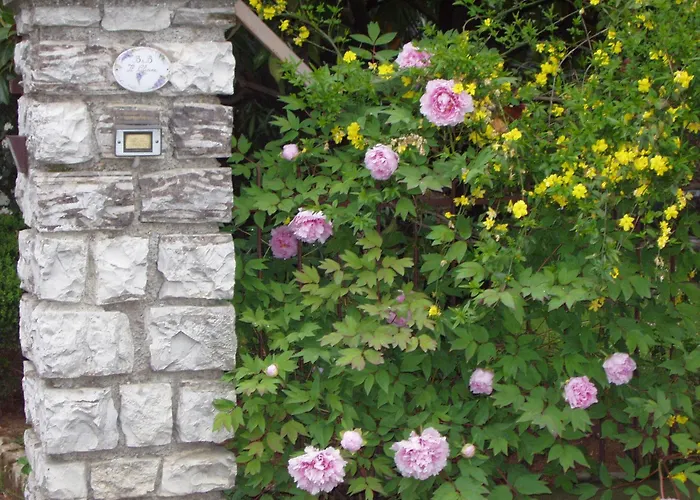 Bed & Breakfast Il Glicine 3*