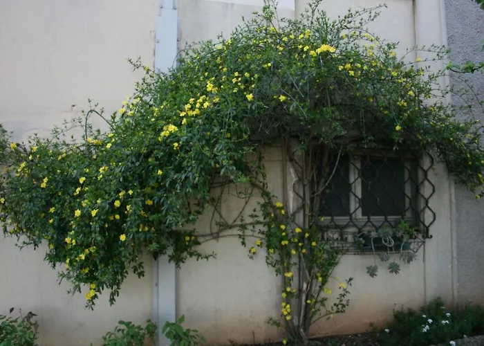 Bed & Breakfast Il Glicine
