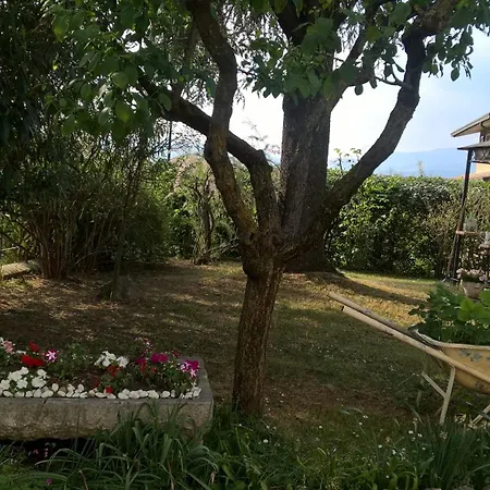 Bed & Breakfast Il Glicine