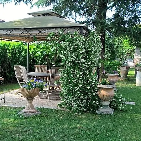 Il Glicine