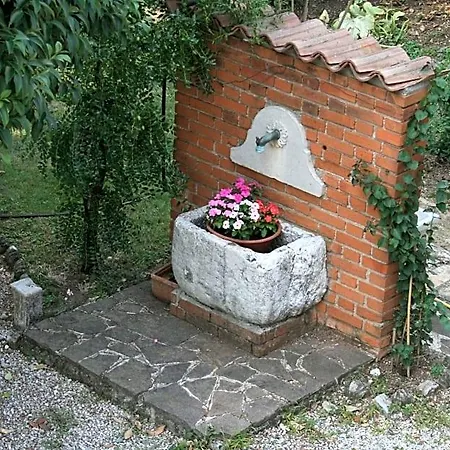 Il Glicine 3*