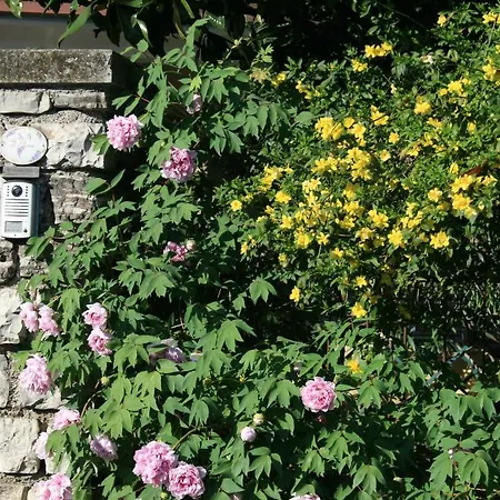 Il Glicine Bed & Breakfast Bedizzole