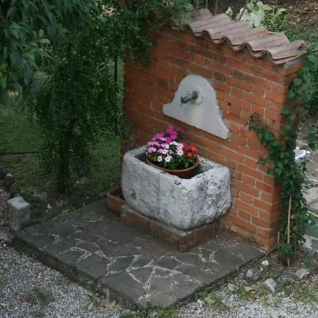Il Glicine