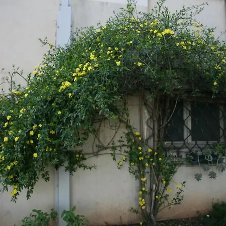 Bed & Breakfast Il Glicine