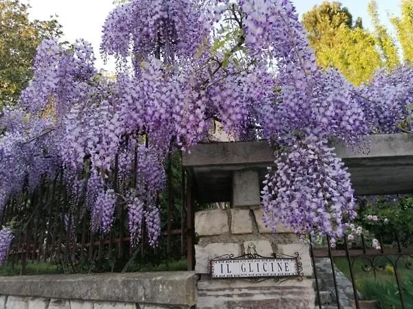 伊尔格里希内住宿加早餐旅馆 3*